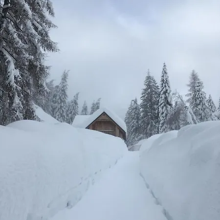 Chalet Corone Monte Zoncolan *