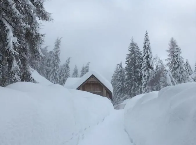 Chalet Corone Monte Zoncolan *